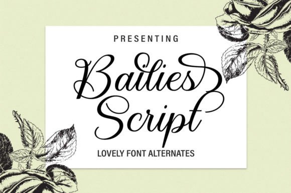 Bailies Script Review: A Font for Elegant Campaigns