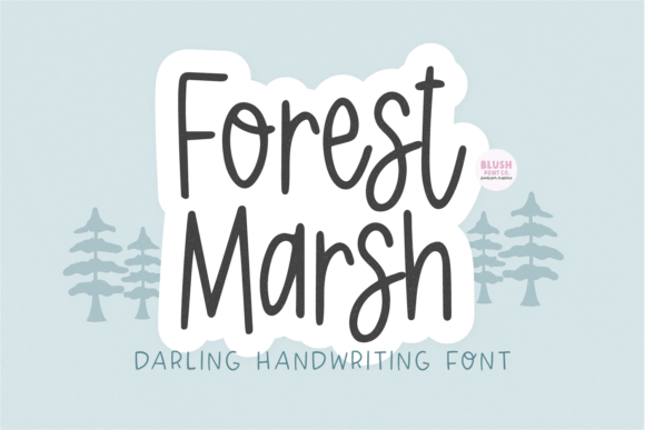 Choosing Forest Marsh: A Web Designer's Real-World Font Test