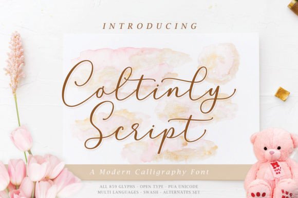 Coltinly Script: A Modern Font for Scroll-Stopping Campaigns