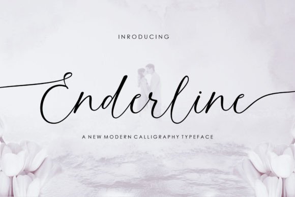 Enderline Script: A Font That Elevates Your Brand