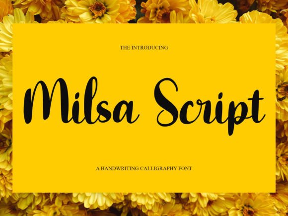 Milsa Script: A Versatile Typeface for Elegant Web Design