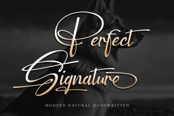 Perfect Signature: The Font That Makes Campaigns Feel Human